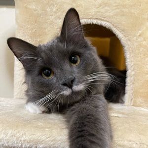 Meet your Posher, Haley